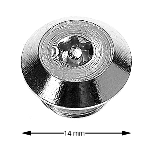 Nödöppningsskruv, Torx m pinne, M10x6, Tx25/TR25 Fzb